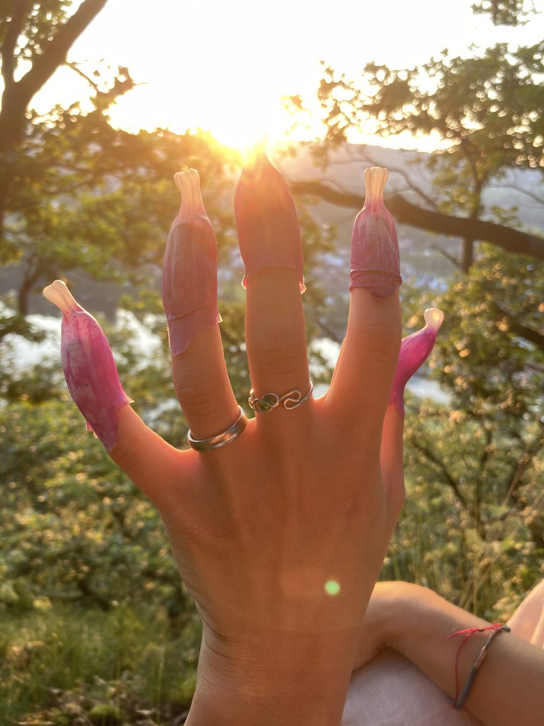 Hand im Sonnenlicht vor grüner Naturkulisse am Rursee