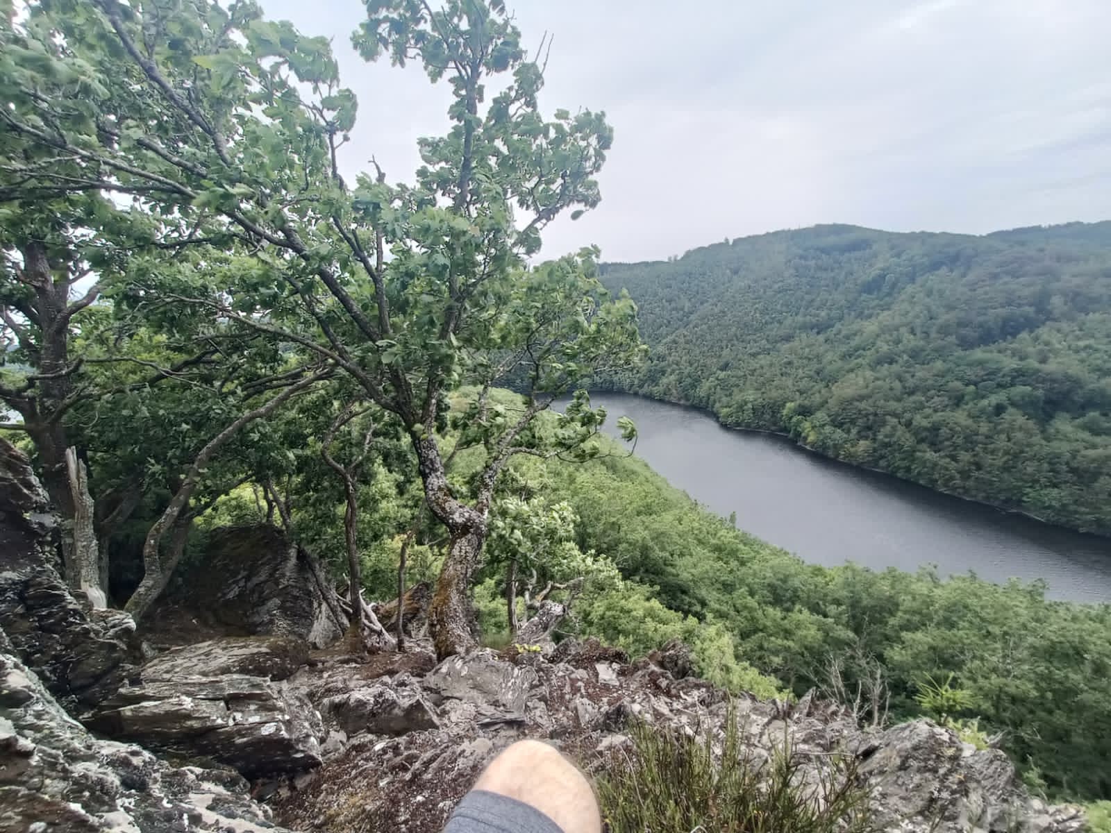 Blick über den Rursee und die bewaldeten Hügel der Eifel